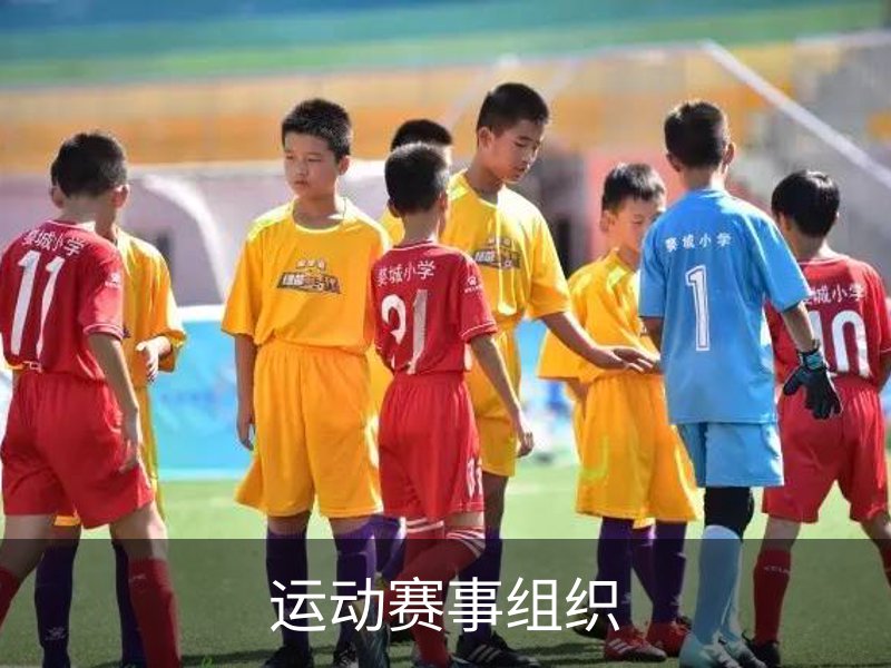 运动赛事组织概况